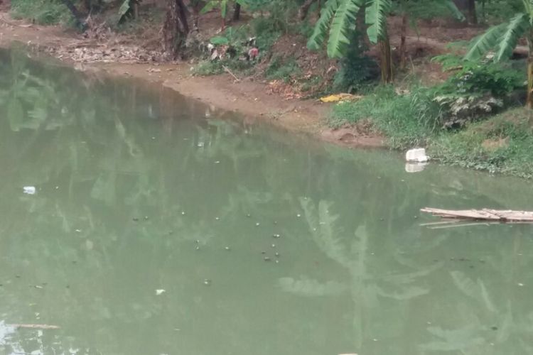 Banyak ikan yang mengambang atau mati di Kali Bekasi, Selasa (18/7/2017). Matinya ikan tersebut diduga karena air yang tercemar limbah.