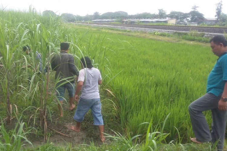 Satuan Reserse Narkoba Kepolisian Resor Blora, Jawa Tengah ‎menemukan 12 paket sabu di kawasan persawahan Desa Kediren, Kecamatan Randublatung, Blora‎.