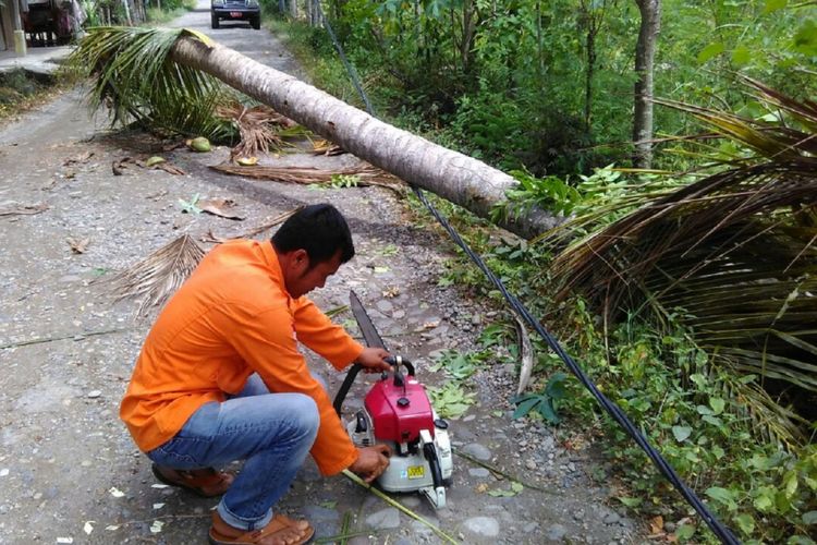 Seorang petugas SAR sedang berupaya menyingkirkan pohon yang tumbang yang menghalangi arus lalu lintas dijalan raya akibat angin kencang yang melanda Kota Sabang. Cuaca buruk berupa hujan dan angin kencang dan angin puting beliung melanda sejumlah derah di Aceh sejak Minggu siang.