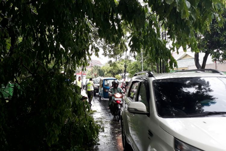 Tampak pohon tumbang di Jalan Pramuka, Bekasi Selatan Kota Bekasi membuat arus lalu lintas di jalan tersebut tersendat, Senin (26/11/2018).