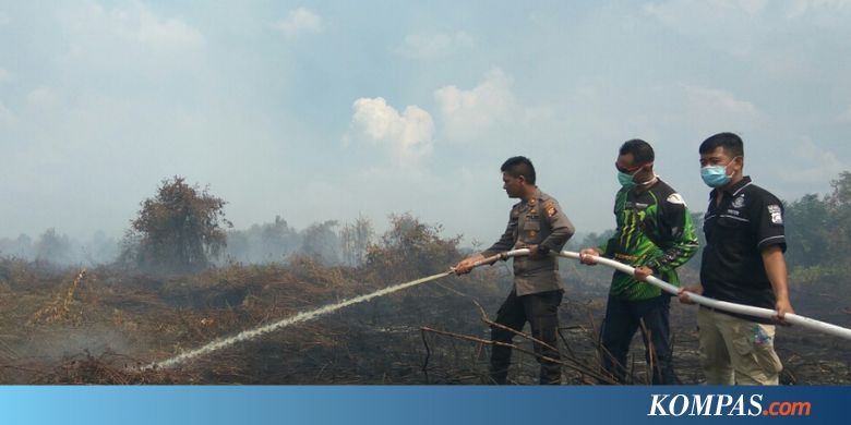 Kebakaran Hutan dan Lahan, Polisi Tetapkan Dua Tersangka