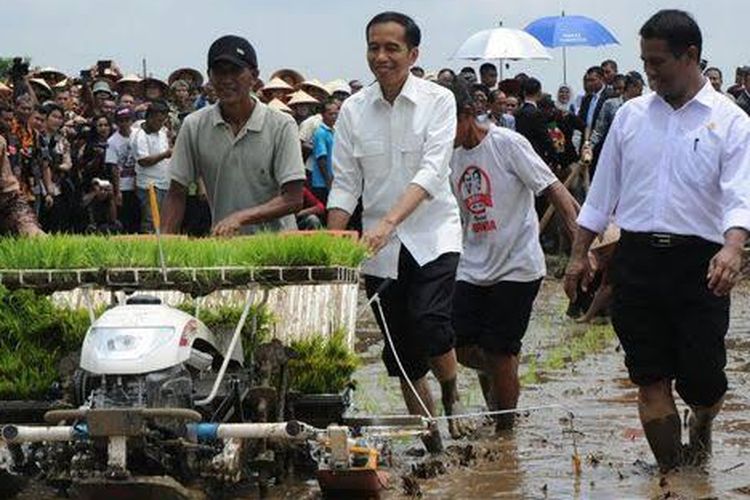 Presiden Joko Widodo dan Mentan Andi Amran tampak membajak sawah menggunakan traktor.