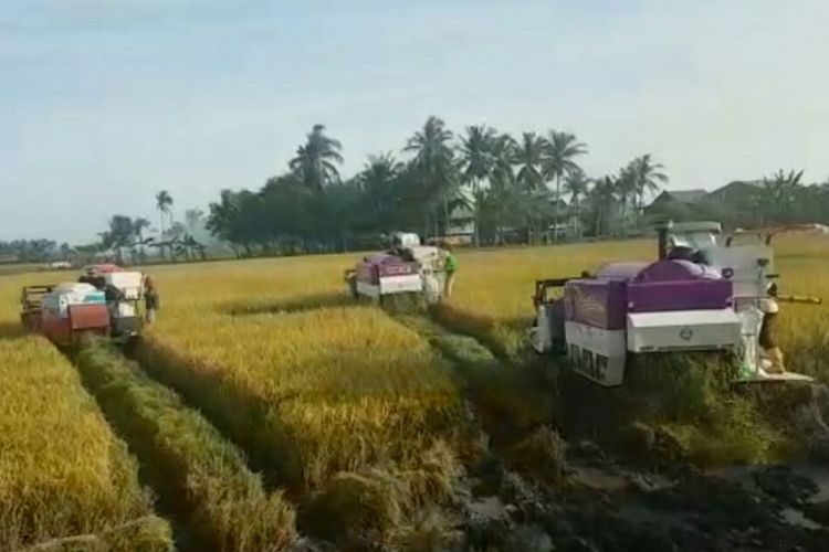 
Penggunaan alat mesin pertanian (alsintan) di Bulukumba, Sulawesi Selatan. Modernisasi pertanian memang menjadi program prioritas Kementerian Pertanian.