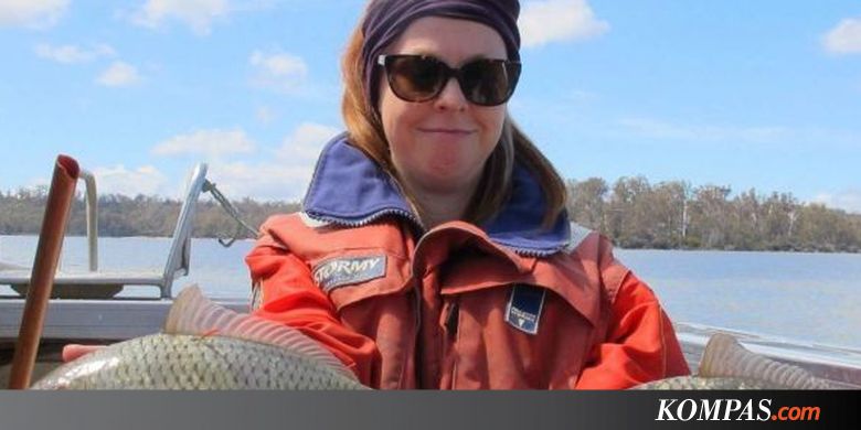 Setelah 25 Tahun, Pemerintah Tasmania Berhasil Berantas Ikan Mas