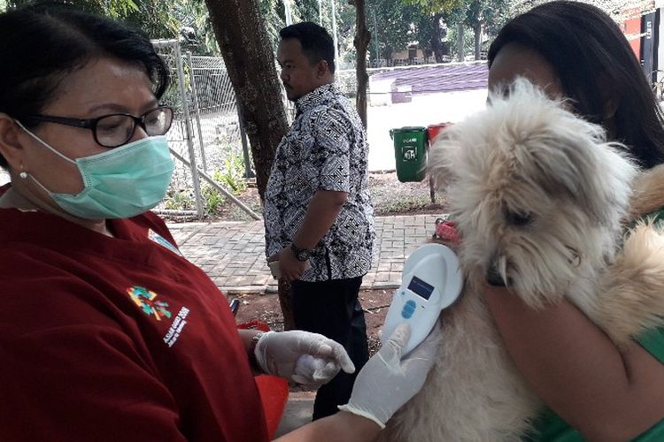 Suku Dinas Ketahanan Pangan, Kelautan dan Pertanian (KPKP) Jakarta Barat menyiapkan 100 microchip untuk pendataan identitas hewan piaraan anjing warga di RPTRA Meruya Selatan, Kembangan, Jakarta Barat pada Kamis (4/10/2018)