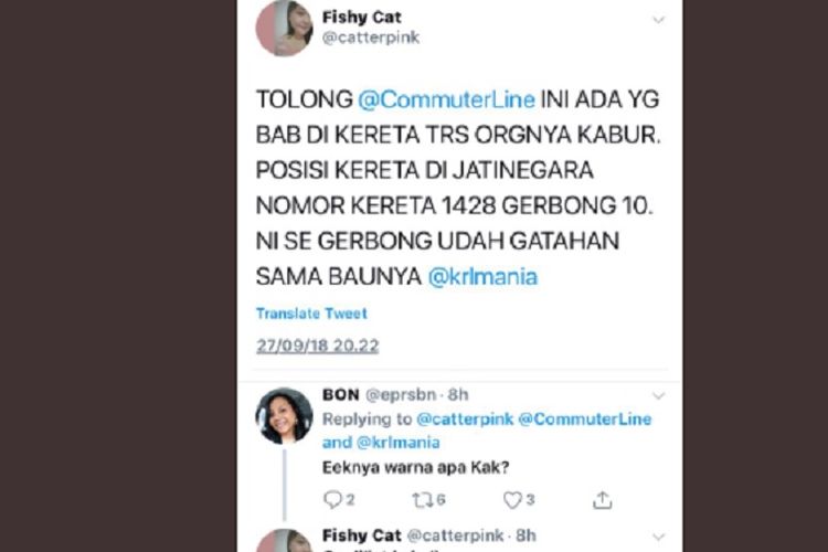 Seorang pengguna Twitter @catterpink menceritakan, seseorang telah baung air besar (BAB)  dalam gerbong kereta rel listrik (KRL) rute Manggarai-Bekasi, Kamis (27/9/2018) kemarin.