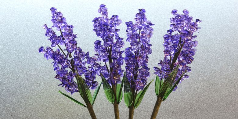 Gelas berbentuk bunga lavender yang mewakili musin panas di toko Glass Forest in Furano, Hokkaido, Jepang. Gelas ini oleh-oleh favorit wisatawan yang dijual dengan harga 432 Yen per buah.