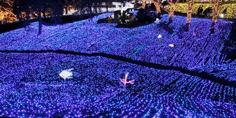 Festival Sagami-ko Ilumination merupakan event iluminasi terbesar di daerah Kanto (Tokyo dan sekitarnya).