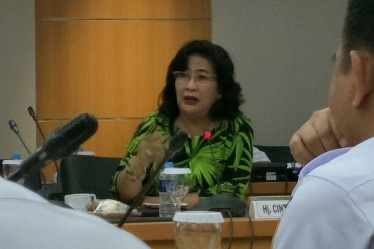 Anggota Komisi C DPRD DKI Jakarta, Cinta Mega, dalam rapat tentang pembangunan rumah DP 0 rupiah bersama Dinas Perumahan DKI di Gedung DPRD DKI, Rabu (31/1/2018).