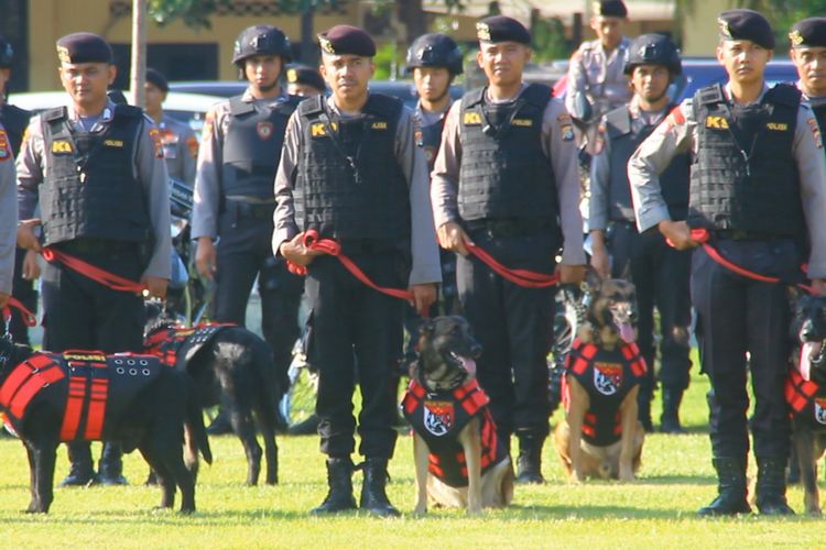 Mataram,  Kompas. com Aparat kepolisian dan satwa atau anjing pelacak disiapkan untuk. Mengamankan Natal dan tahun baru 2018, lebih dari 2 ribu aparat kepolisian dan TNI akan mengamankan wilayah Lombok,  NTB