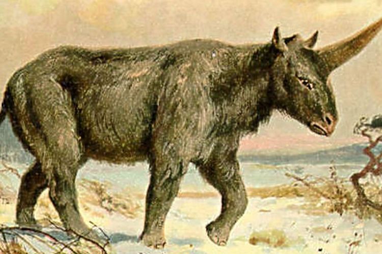 ilustrasi unicorn Siberia