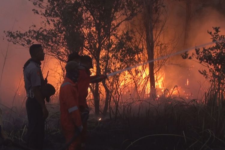 Petugas Manggala Aagni bersama personel BPBD Ogan Ilir dibantu TNI-Polri berjibaku memadamkan api kebakaran lahan di Desa Ibul Besar 1 Ogan Ilir, Jumaat petang