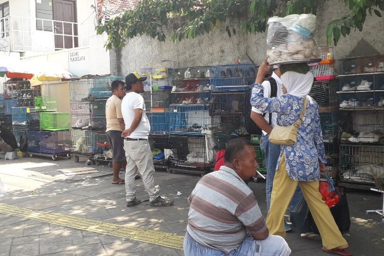 Pedagang hewan peliharaan berjualan di atas trotoar Jalan Matraman Raya, Jatinegara, Kamis (20/6/2019).