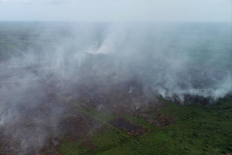 Foto dron dok humas Aceh Barat, Kondisi kebakaran hutan dan lahan gambut yang terjadi di Desa Suak Pangkat, Kecamtan Bubon, Kabupaten Aceh Barat, Senin (05/08/2019).