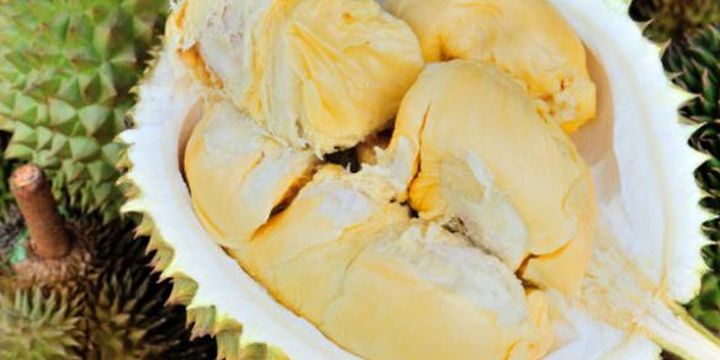 Jangan Percaya Mitos Ibu Hamil Tidak Dilarang Makan Durian