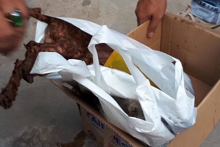 Choky anjing kesayangan Fransiscus Xaverius Ong yang ikut tewas dalam insiden bunuh diri satu keluarga FX Ong yang membuat gempar warga.