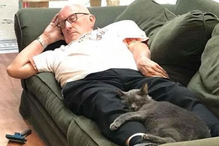 Terry Laurmen (75) merupakan seorang relawan reguler di Safe Haven Pet Sanctuary, Amerika Serikat. Fotonya tidur bersama kucing berhasil mengumpulkan donasi ratusan juta untuk tempat penampungan hewan tersebut. (Facebook/Safe Haven Pet Sanctuary Inc)