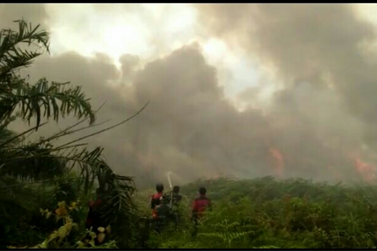 Kebakaran hutan dan lahan di Provinsi Riau. 