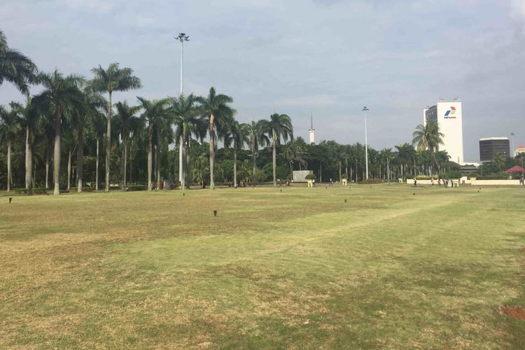Petugas perawatan taman di Monas menyebut rumput taman di kawasan Monas mulai menguning setelah Pemprov DKI Jakarat memperbolehkan pengunjung menginjak rumput taman, Sabtu (13/1/2018).