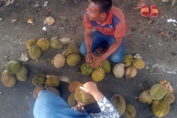 Pembeli memilih durian di Jalan Elak, Kabupaten Aceh Utara, Aceh, Kamis (15/8/2019).