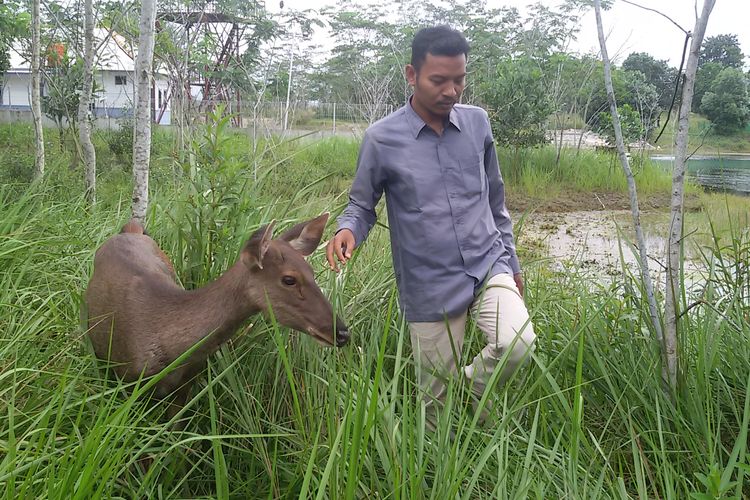 Bangka Tak Cuma Wisata Pantai Ada Juga Pusat Penyelamatan