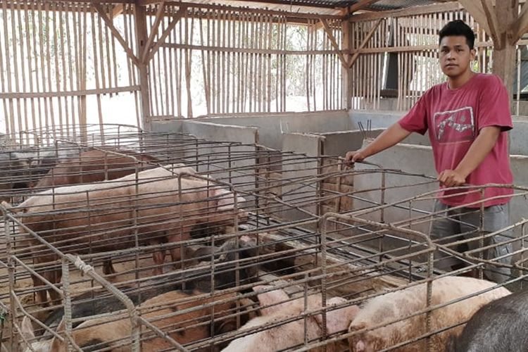 Leonard Renold Tanto (26), saat berbincang memantau kondisi babi-babi di kandang tepatnya di Desa Nampung Lau, Kecamatan Waigete, Kabupaten Sikka, NTT, Rabu (18/9/2019).