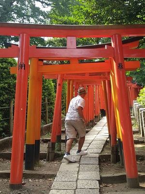 Gerbang bambu (torii) yang ada di Nezu Shrine, Tokyo.