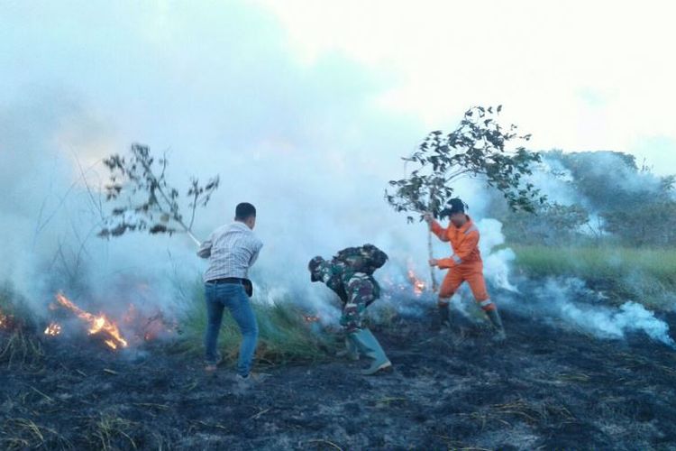 Kebakaran terjadi di jalur pendakian Gunung Rinjani, Lombok, Nusa Tenggara Barat (NTB). 