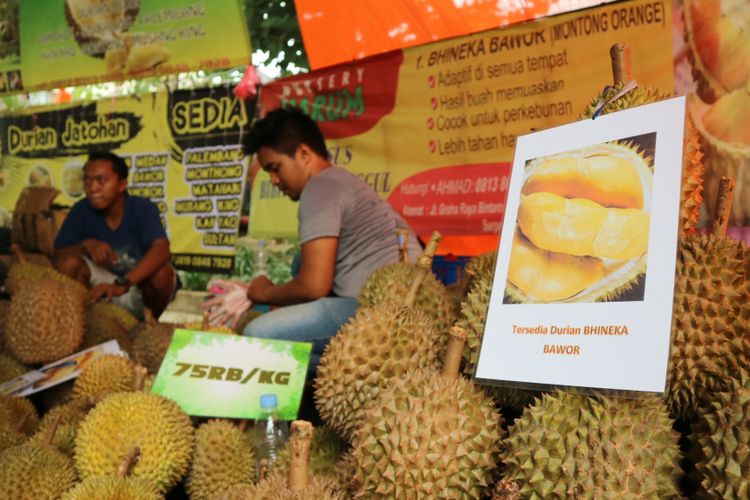 Durian bawor, Featival Bazar Durian Bogor.