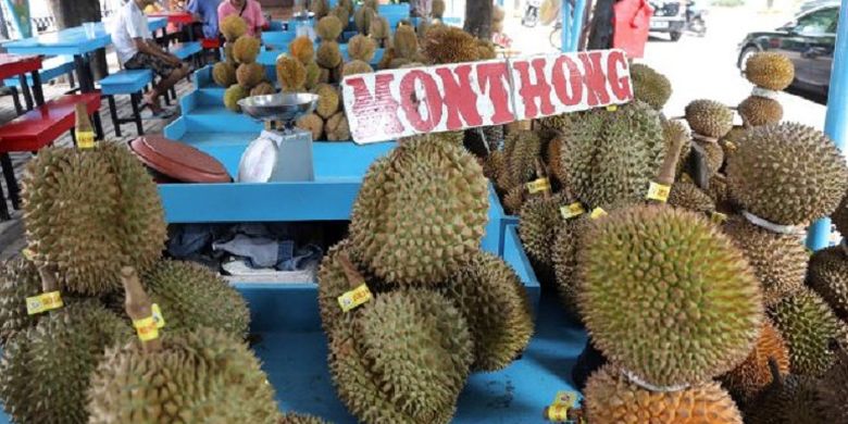 Berburu Durian Tak Kenal Musim