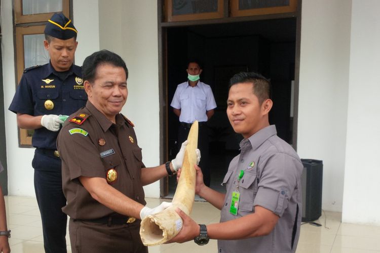 Kepala Kejaksaan Negeri Nunukan I Made Sudiatmika menyerahkan 11 gading gajah kepada Jono Adi Putro, Bagian Konservasi Keanekaragaman Hayati Kantor BKSDA Samarinda Kalimantan Timur. Rabu siang.