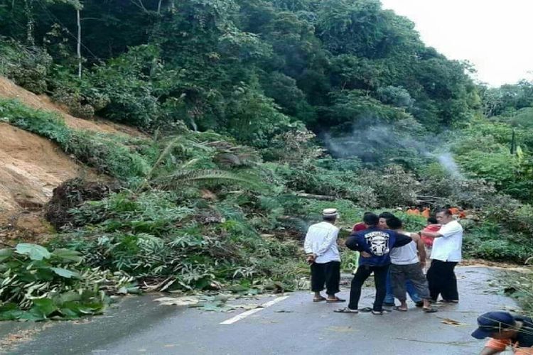 Pohon serta material longsor launnya menutup ruas jalan utama antar Kabupaten Murung Raya dengan Barito Utara