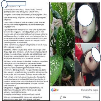 Tangkapan layar unggahan mengenai tanaman Dieffenbachia.