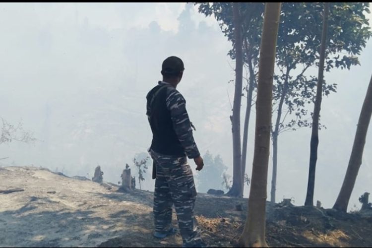 Petugas TNI saat memadamkan kebakaran hutan seluas di Pulau Enggano, Bengkulu, Minggu (18/8/2019). 