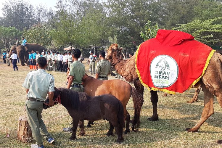 Suasana upacara bendera di Taman Safari Batang Dholpin Center memperingati HUT ke 74 RI di Batang Jawa Tengah.