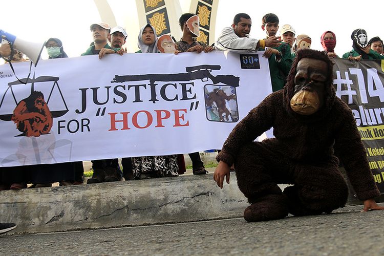 Puluhan aktivis yang tergabung dalam koalisi peduli orangutan Sumatera menggelar aksi unjuk rasa mengecam terhadap pelaku penyiksaan induk dan bayi orangutan di Bundaran Simpang Lima, Pusat Kota Banda Ace, Jumat (15/3/2019).  