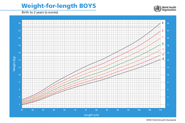 Kurus, Gizi Buruk, Stunting Wajah Ngeri Anak Indonesia