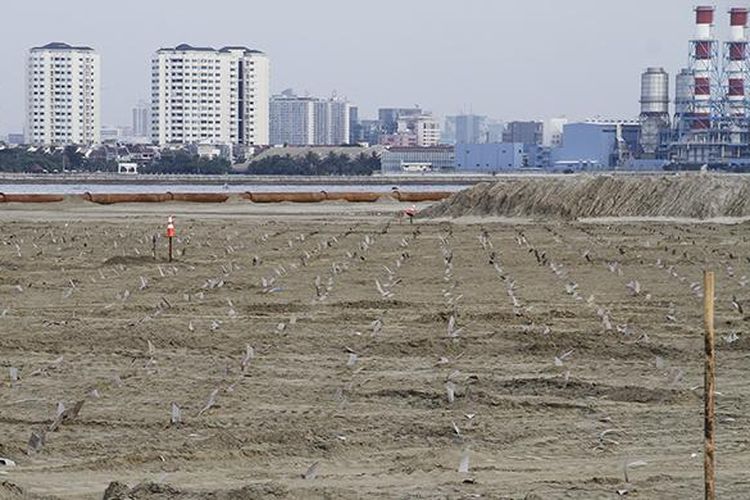 Suasana proyek pembangunan reklamasi Teluk Jakarta di kawasan Pantai Utara, Jakarta Utara, Rabu (11/5/2016). Kementerian Lingkungan Hidup dan Kehutanan menghentikan sementara proyek reklamasi Pulau C, D, dan G, lantaran dinilai melanggar izin dan perundang-undangan mengenai lingkungan hidup.