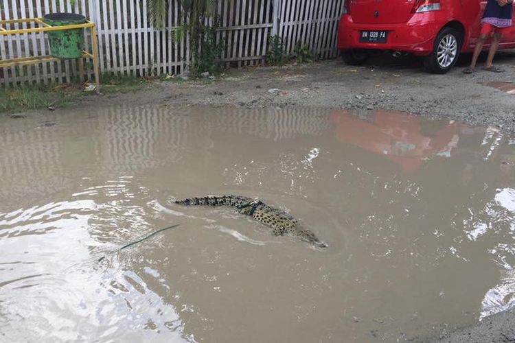 Jalan yang yselalu tergenang air ini yang diprotes warga Kota Gorontalo dengan melepas buaya peliharaan sepanjang 1,7 meter