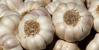 9 Makanan Terbaik untuk Jaga Kesehatan Ginjal, Apa Saja?