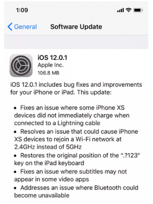 Tangkapan layar pembaruan iOS 12.0.1