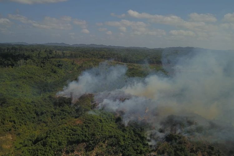 Sejak satu bulan api tak kunjung dapat dipadamkan membakar 100 hektare perkebunan warga di Pulau Enggano, Bengkulu