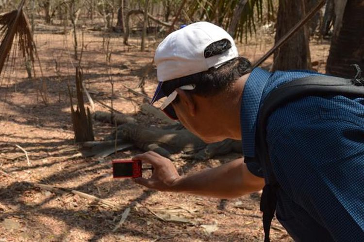 Wisatawan mancanegara asal India memotret satwa endemik komodo (Varanus Komodoensis) di Pulau Komodo, Kecamatan Komodo, Manggarai Barat, Nusa Tenggara Timur, Kamis (19/11/2015).