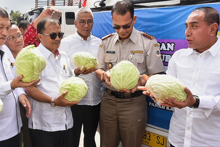 Gubernur Sumut Edy Rahmayadi melepas ekspor 50,2 ton kubis ke Malaysia di Desa Lambar, Kecamatan Tigapanah, Kabupaten Karo, Kamis (28/2/2019) 