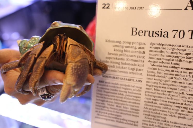 Tole, keong berusia 70 tahun di Indo Pet Expo