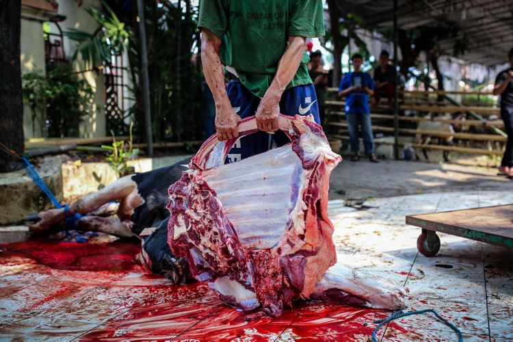 Pekerja membawa daging hewan kurban untuk dibagikan di Masjid Agung Sunda Kelapa, Jakarta Pusat, Jumat (1/9/2017). Tahun ini masjid Agung Sunda Kelapa menerima 10 ekor sapi dan 52 ekor kambing untuk dikurbankan.
