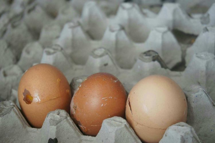Saat mahal, sejumlah masyarakat di Karawang memilih memburu telur pecah.