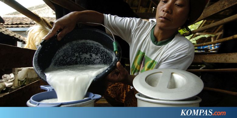 Pengusaha: Harga Susu Serahkan ke Mekanisme Pasar