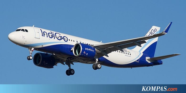 Mengeluh soal Nyamuk, Dokter Ini Diusir dari Kabin Maskapai India