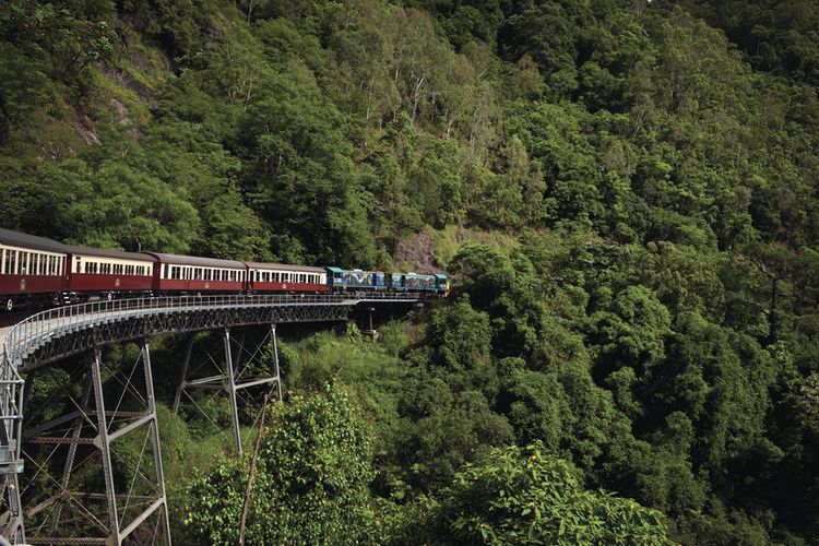 Di Cairns, Australia, perjalanan wisata dengan kereta lebih menantang karena jalurnya menembus hutan belantara. 